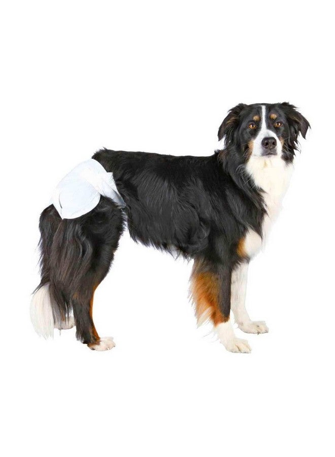 Disposable Diapers For Female Dogs Designed For Dogs In The Season To Prevent Staining Of Carpets & Other Fabrics Highly Absorbent And Easy To Use - Size: L, 38-56Cm 12 Pcs
