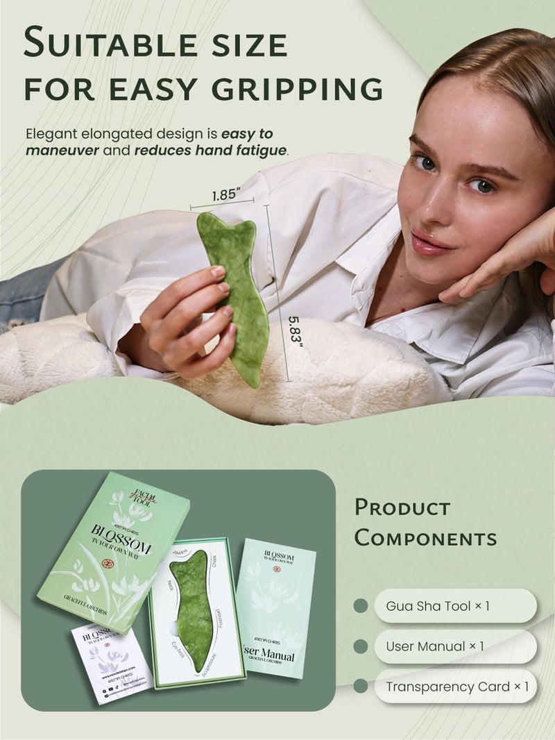 Rena Chris Natural Jade Gua Sha Facial Tools - Acupressure & Gua Sha for Face Massage, Jawline Sculpting, Puffiness Reduction, Skin Care Tool (Green) - Image 5