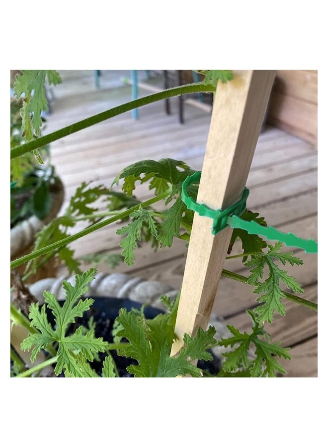 إسكدنيا 200 قطعة روابط حديقة قابلة للتعديل، روابط نباتية بطول 5 بوصات، روابط كابلات مرنة، روابط حديقة لدعم النباتات، روابط الكروم الآمنة، روابط حديقة متعددة الاستخدامات، روابط نباتات بلاستيكية للحدائق، رواب - Image 3