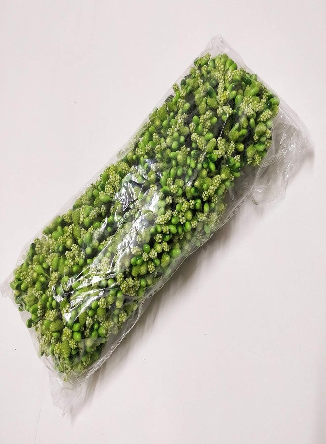 Excellentcrafts زهور حبوب اللقاح الاصطناعية من إكسيلنت كرافتس (خضراء، 72، 6 باقات من 12 حبة لقاح لكل باقة) - Image 4