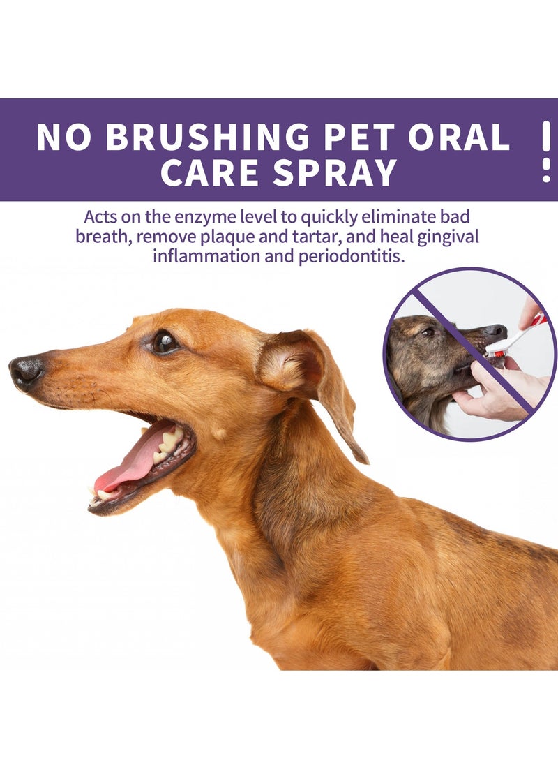 Dog and Cat Teeth Cleaning Spray Pet Breath Freshener Spray Care Cleaner Pet Oral Spray Teeth Cleaner Eliminate Bad Breath