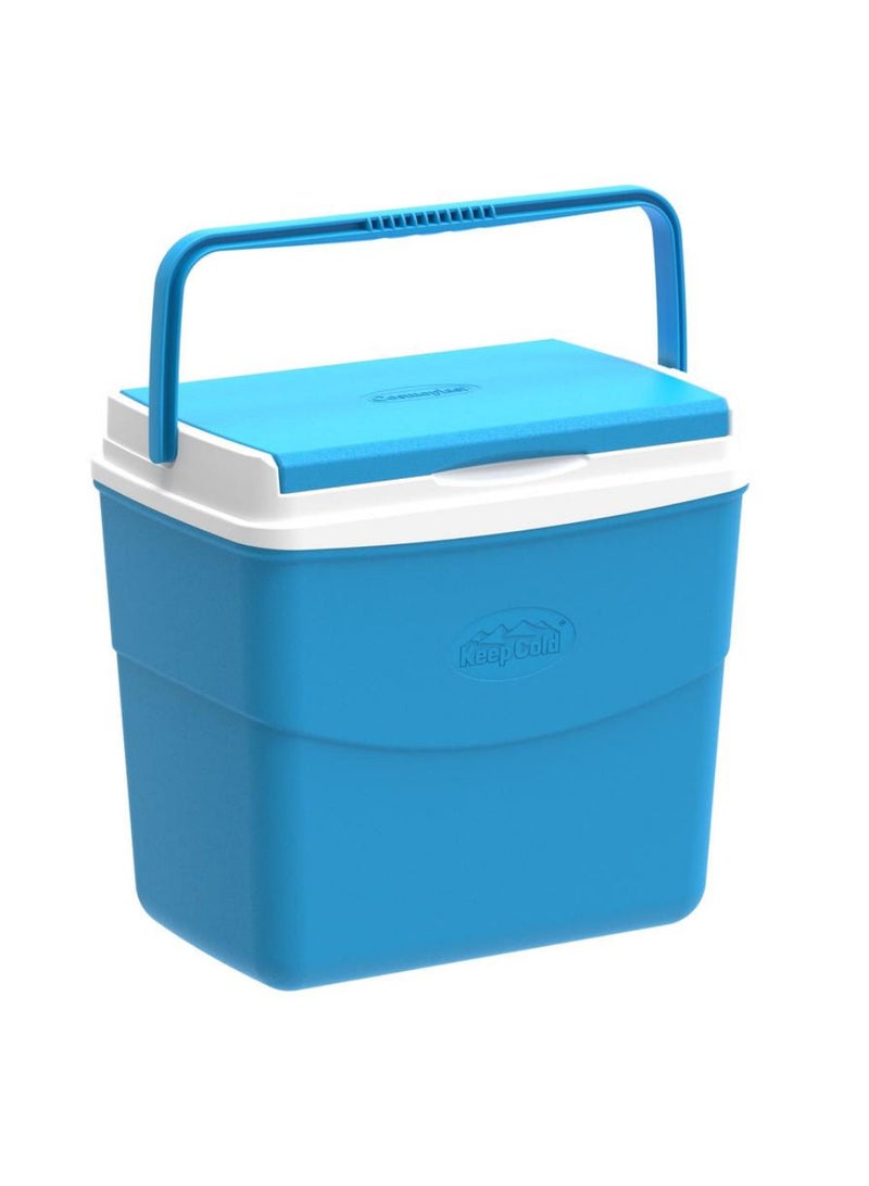 Picnic Icebox 20 L 41 X 28 X 37 Cm