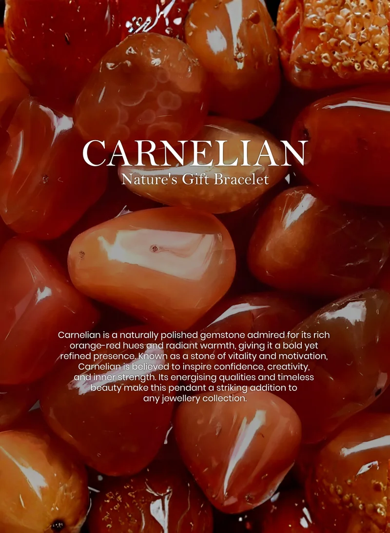 British Fossils سوار حبل هدية الطبيعة - العقيق