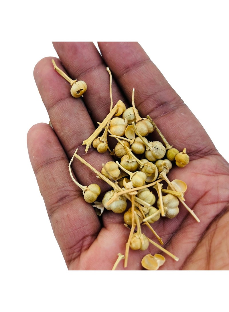 OGOC Harmal seeds Syrian rue esfand aromatic incense seeds natural fragrance traditional incense fumigation home fragrance use - Image 4