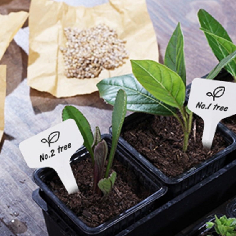 KINGLAKE GARDEN Plant Labels 200PCS 4 Inch Plastic Plant Name Tags Garden Labels Markers T-Type Garden Tags for Indoor Outdoor Plants with Permanent Marking Pen - Image 3