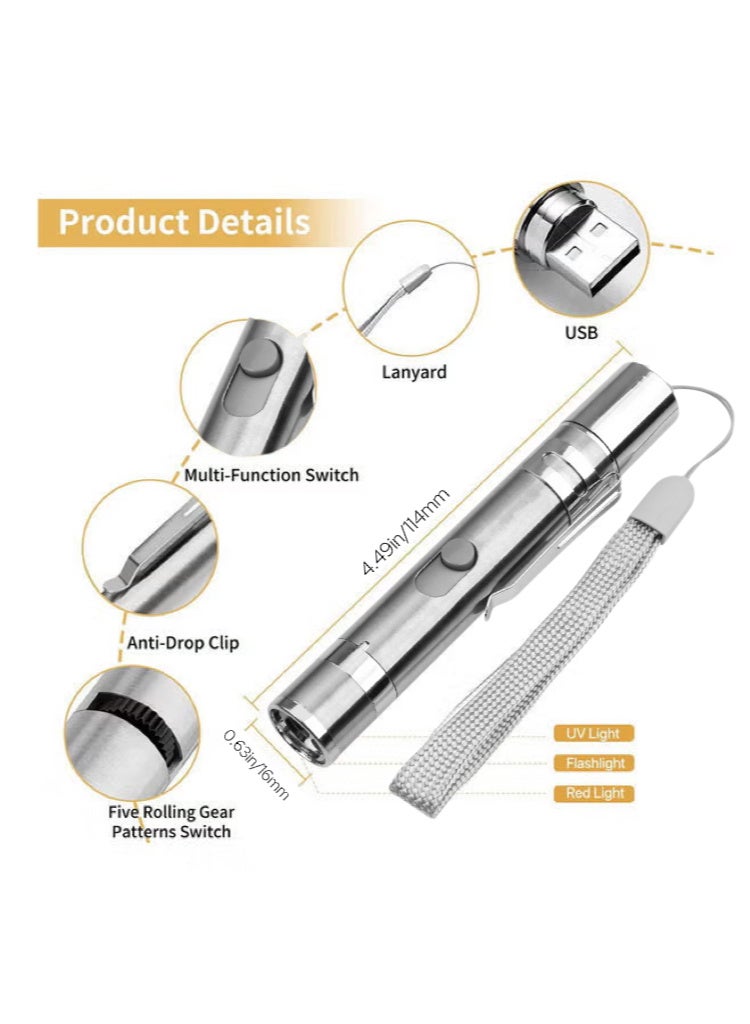 TNGames Multifunctional LED Laser Pen – UV Cat Ringworm Detection / Laser Cat Toy / Bright Flashlight 3-in-1 Rechargeable Portable Pen (For Pets + Office + Outdoor Use) - Image 4