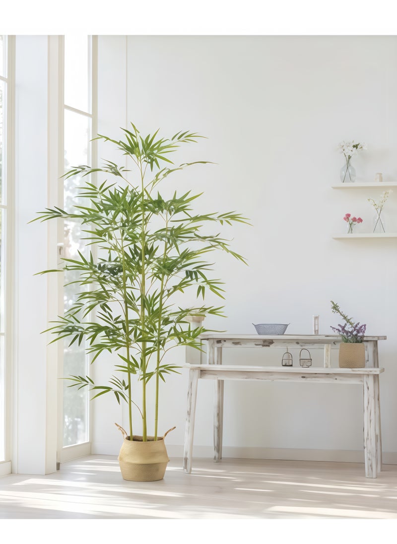 Generic Artificial bamboo tree, 180 cm artificial bamboo plant, real touch technology, perfect realistic artificial tree, with 5 trunks, very suitable for modern home decoration, office. Suitable for any sc  - Image 1