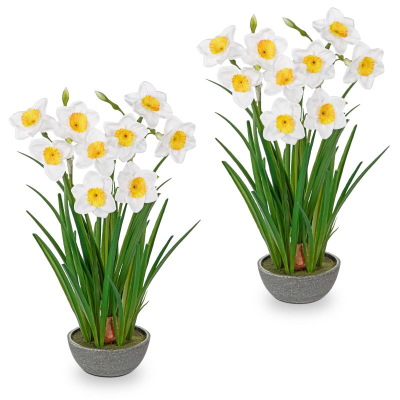 Villa Como Small Artificial Flowers in Pot 14" Fuax Daffodil Potted Flowers Plant Decor Room 2 Pcs Farmhouse Fake White Flower Plants Desktop Spring Summer Flowers for Home Decor Indoor - Image 1