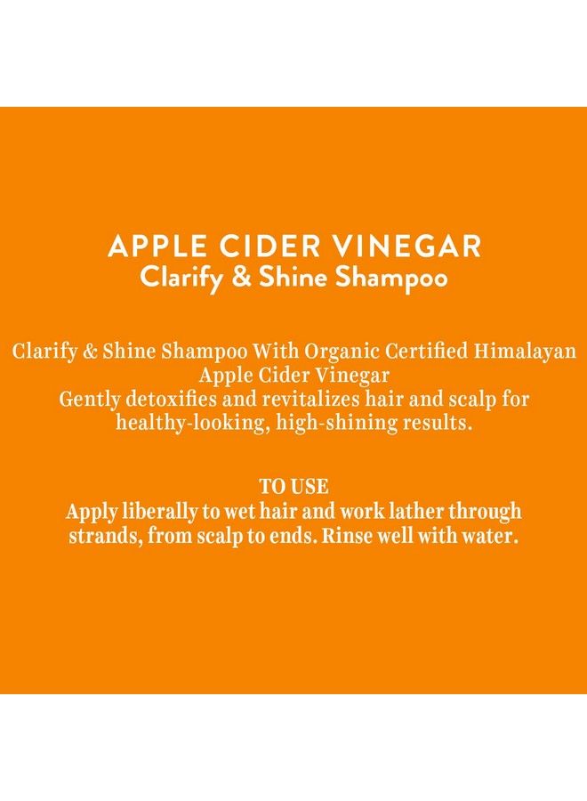 Biotique Apple Cider Vinegar Hair Shampoo For All Hair Types 300Ml (Pack Of 2) - Image 5