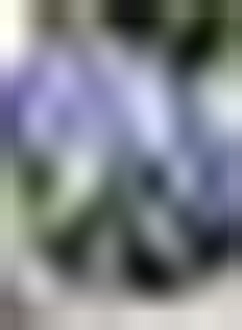 GGOOT 50Stück Lavendelsamen Starkes Aroma Werden zu Ihrem Hausgarten Tolle Dekoration Einstiegsklasse Vielfalt Außenhof Terrasse natürliches Wachstum bringen Gute Laune - Image 1