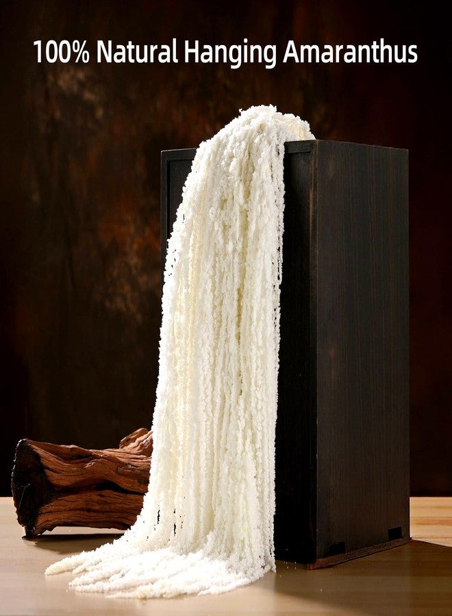 Jtoder مجموعة من 5 قطع من زهور الأمارانثوس المجففة المعلقة من Jtoder، زهور طبيعية محفوظة مثالية لأقواس الزفاف، والمعارض، وتعليقات الحائط، وتنسيقات الزهور، وديكور المنزل (أبيض، 24 بوصة). - Image 2