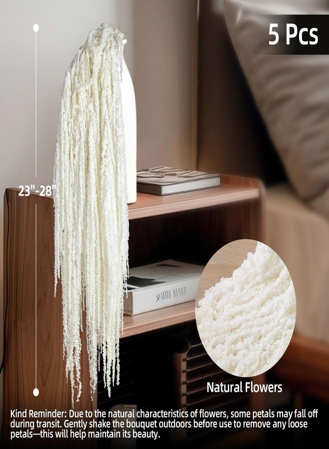 Jtoder مجموعة من 5 قطع من زهور الأمارانثوس المجففة المعلقة من Jtoder، زهور طبيعية محفوظة مثالية لأقواس الزفاف، والمعارض، وتعليقات الحائط، وتنسيقات الزهور، وديكور المنزل (أبيض، 24 بوصة). - Image 3
