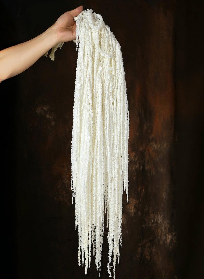 Jtoder مجموعة من 5 قطع من زهور الأمارانثوس المجففة المعلقة من Jtoder، زهور طبيعية محفوظة مثالية لأقواس الزفاف، والمعارض، وتعليقات الحائط، وتنسيقات الزهور، وديكور المنزل (أبيض، 24 بوصة). - Image 1