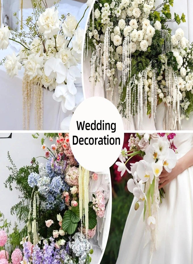 Jtoder مجموعة من 5 قطع من زهور الأمارانثوس المجففة المعلقة من Jtoder، زهور طبيعية محفوظة مثالية لأقواس الزفاف، والمعارض، وتعليقات الحائط، وتنسيقات الزهور، وديكور المنزل (أبيض، 24 بوصة). - Image 5