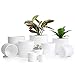 D'vine Dev D'vine Dev Small Garden Pots (6.5"/6"/5.5"/5"/4.5"/4"/3.5"/3"/2.5"/2") Set of 10 Plastic Succulent Plants Pots with  - Image 2