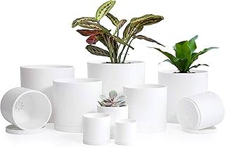 D'vine Dev D'vine Dev Small Garden Pots (6.5"/6"/5.5"/5"/4.5"/4"/3.5"/3"/2.5"/2") Set of 10 Plastic Succulent Plants Pots with  - Image 1