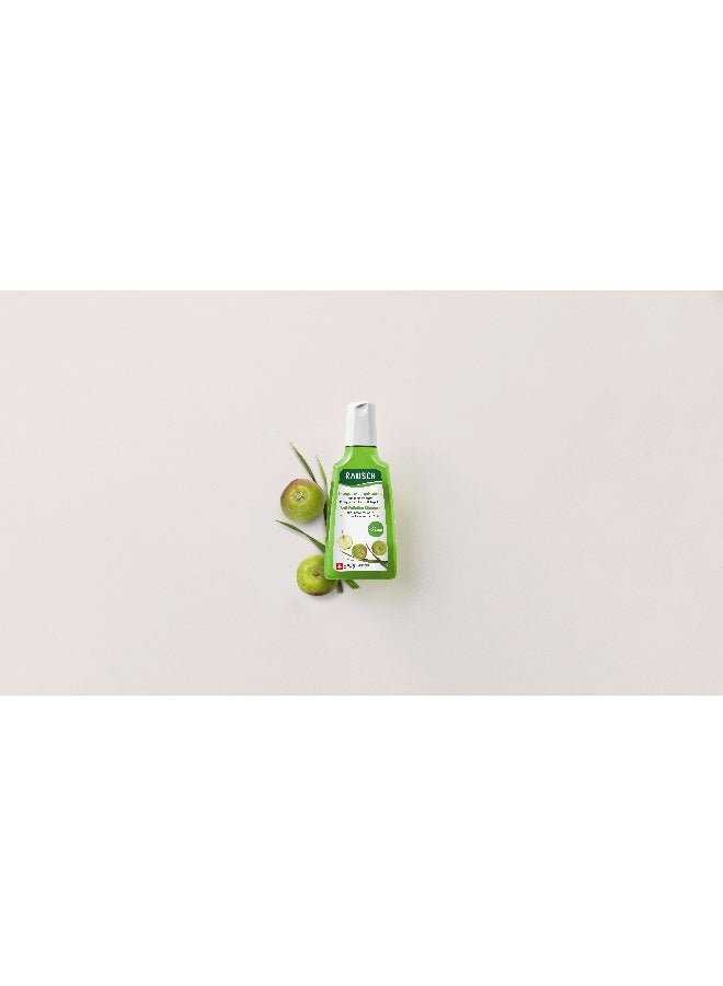 RAUSCH Swiss Apple Anti-Pollution Shampoo (200 ml) – Protective Hair Care for Dull & Environmentally Stressed Hair, with Swiss Apple Extract, Silicone-Free 200ml - Image 3
