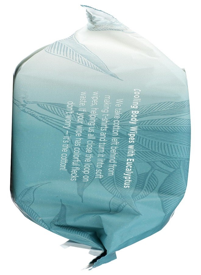 Burt's Bees BURTS BEES Cooling Body Wipes 30Ct, 30 CT - Image 4