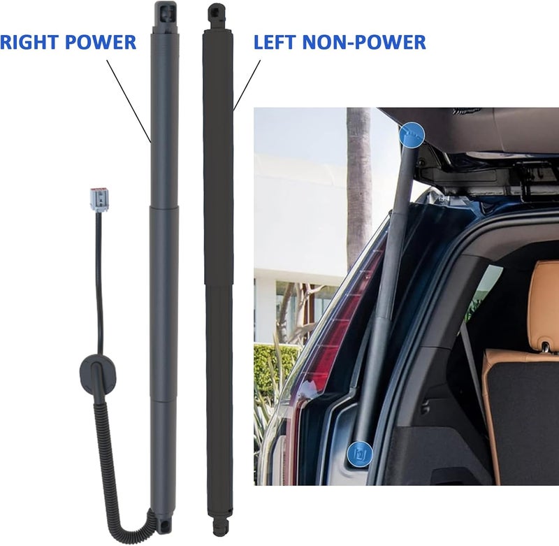 APSVE دعامة دعم الطاقة لرفع الباب الخلفي لسيارات كاديلاك إسكاليد، شيفروليه سوبربان، تاهو، جي إم سي يوكون (2015-2020) - Image 5