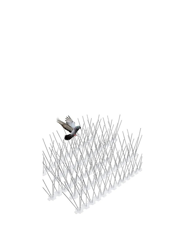 KNP - KNP Bird spikes with a plastic base are an effective and humane way to deter birds from roosting or nesting on ledges, roofs, and other structures. - Image 1