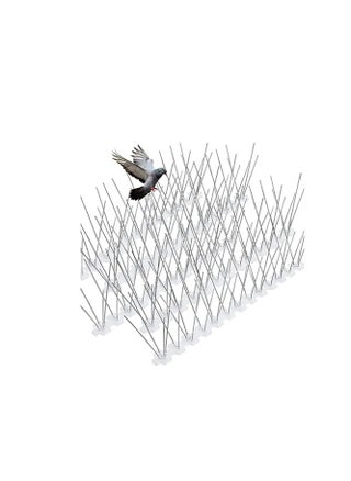 KNP Bird spikes with a plastic base are an effective and humane way to deter birds from roosting or nesting on ledges, roofs, and other structures. - pzsku/Z539F87C6DB2001F40420Z/45/_/1727170229/2374d663-b370-453d-8bd2-1824042845ab