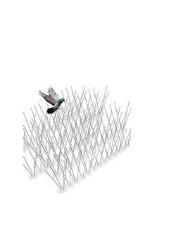 KNP KNP Bird spikes with a plastic base are an effective and humane way to deter birds from roosting or nesting on ledges, roofs, and other structures.  - Image 2