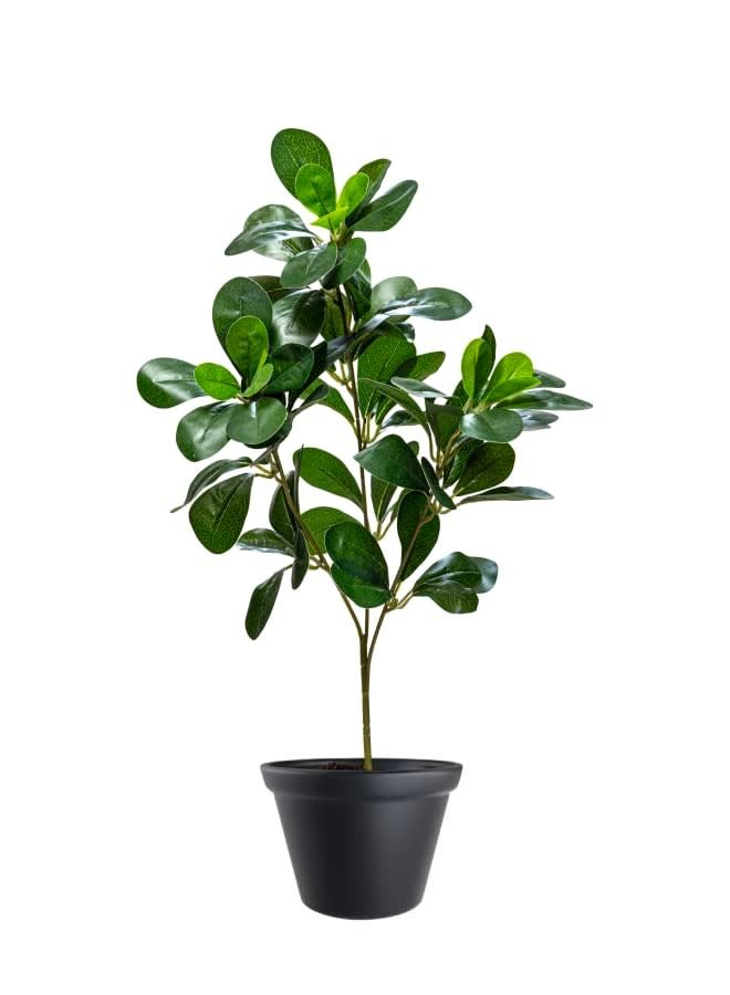 Unique Pots And Plants Artificial Greenery Bunch  ( No Pot Included )