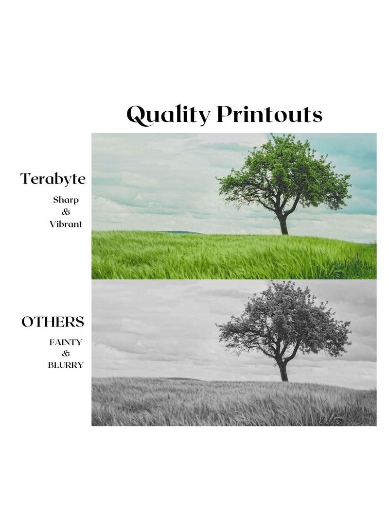 Terabyte MLT-304L  COMPATIBLE TONER TERABYTE - Image 4