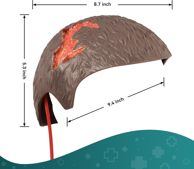 MedEduQuest Wearable Head Wound Simulator Kit Realistic Bleeding Control Training for Medical Students First AidWound Training and Medical Classes  Brown - Image 4
