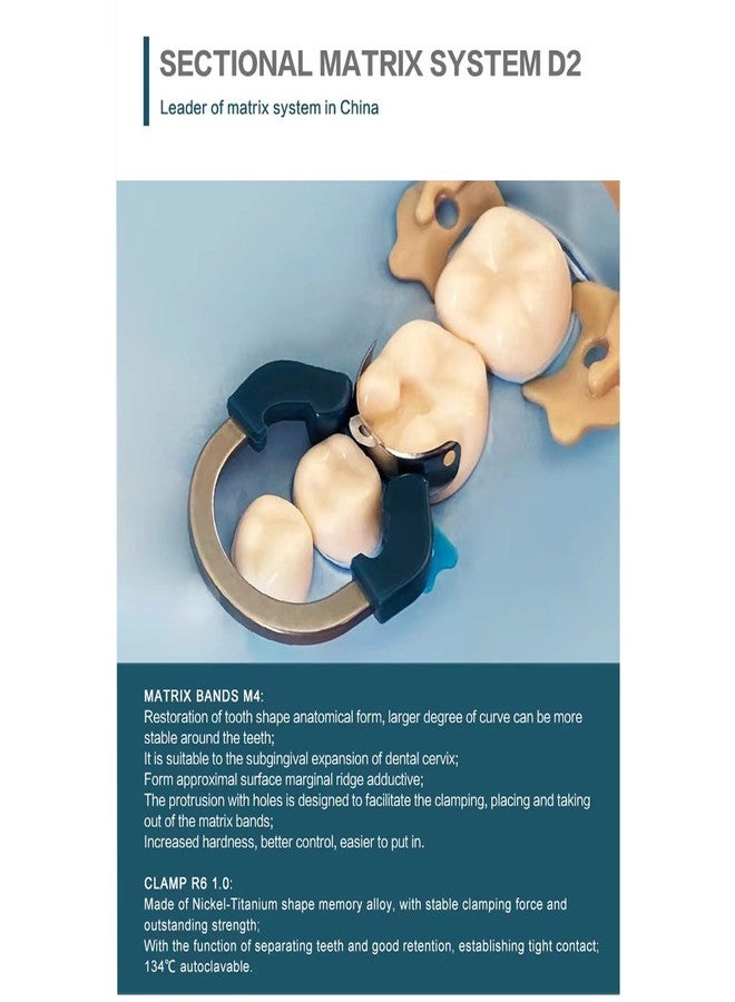 Windplusya Dental Sectional Matrix Ring Clamp Spring Clip, Autoclavable Nickel Titanium Orthodontic Clamp Rings, Contoured Matrices System for Pre and Post Molars. (R6 Blue - Image 5