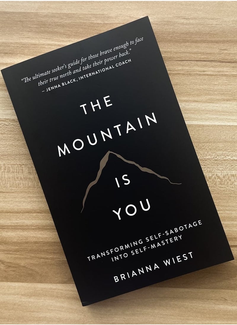 null - The Mountain Is You: Transforming Self-Sabotage Into Self-Mastery - Image 1