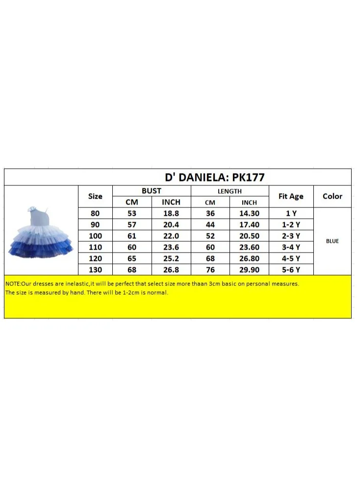 D'Daniela Ombre Tulle Dress