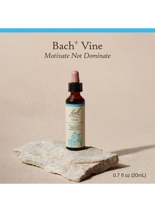 Bach Original Flower Remedies, Vine for Motivation, Natural Homeopathic Flower Essence, Holiday Gift for Him or Her, Vegan, 20mL Dropper  - Image 2