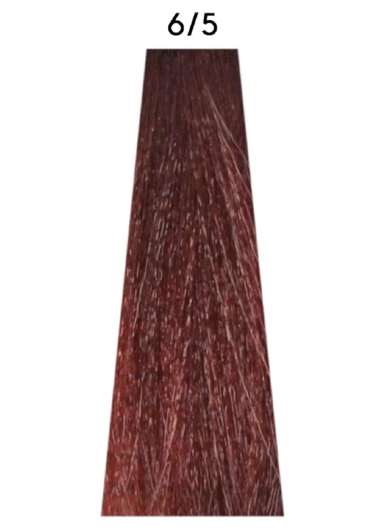 ألتير إيجو كريم تلوين الشعر الدائم Alter Ego Technofruit 6/5 Dark Blonde Mahogany، 100 مل - غني بـ Garcinia Mangosteen، خالٍ من مادة PPD، صبغة شعر احترافية تدوم طويلاً - Image 2