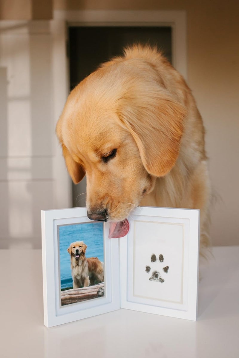 pearhead Pet Pawprints Desk Picture Frame, Memorial Keepsake, White Photo Frame, Imprint Kit - Image 5