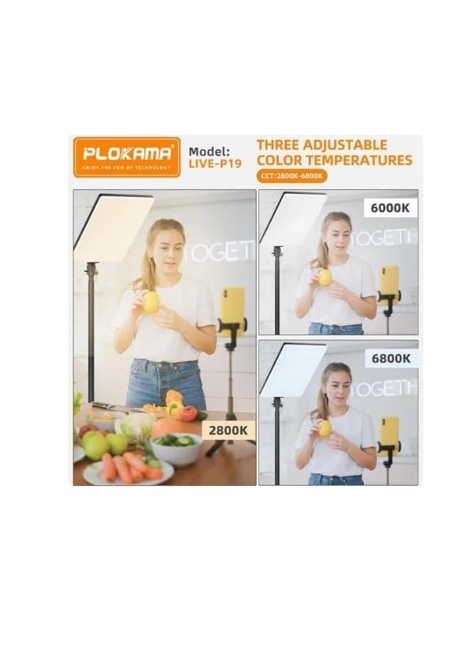 التخطيط مصباح ليد احترافي للتصوير الفوتوغرافي لايف ليد P19 بلوكاما، مصباح مع جهاز تحكم عن بعد لجلسات الصور  بـ3 ألوان أبيض وضوء دافئ وضوء بارد - Image 3