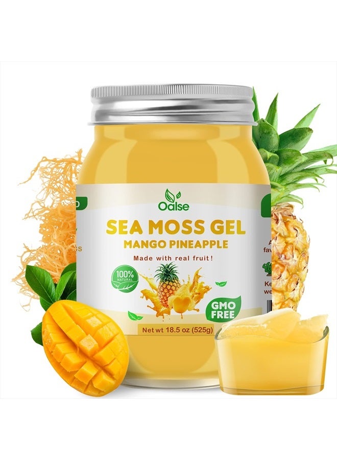 OALSE Sea Moss Gel - 18.5OZ Mango Pineapple Flavor Sea Moss Gel Organic Raw Nutritious Organic Sea Moss Gel Rich in 102 Vitamins and Minerals, Proteins & Vitamins, Vegan-Friendly - Image 1
