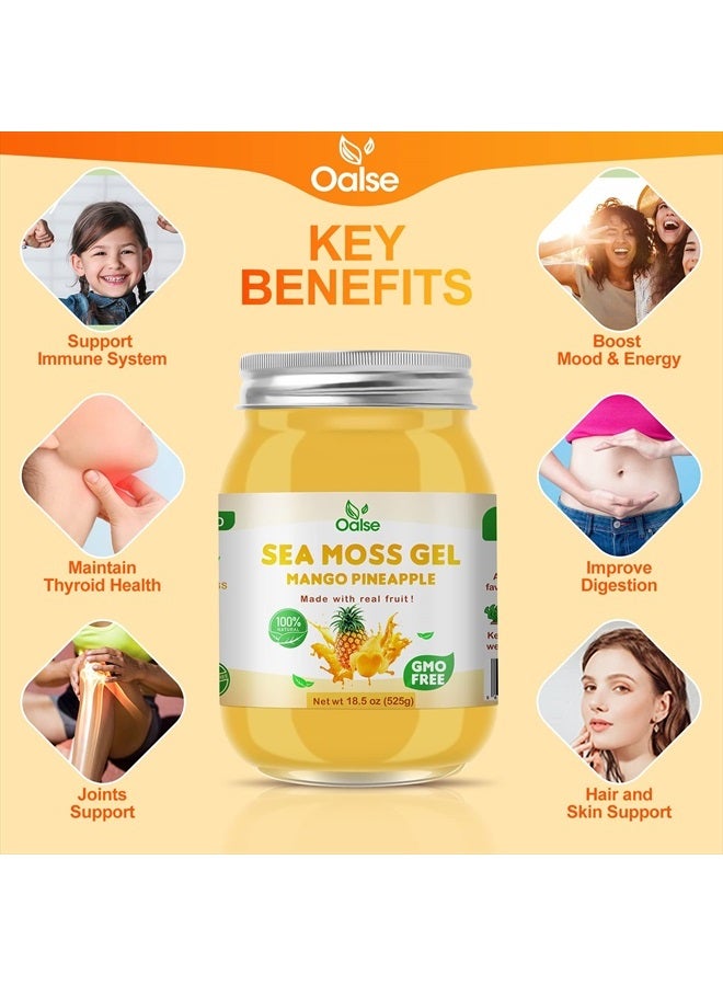 OALSE Sea Moss Gel - 18.5OZ Mango Pineapple Flavor Sea Moss Gel Organic Raw Nutritious Organic Sea Moss Gel Rich in 102 Vitamins and Minerals, Proteins & Vitamins, Vegan-Friendly - Image 3