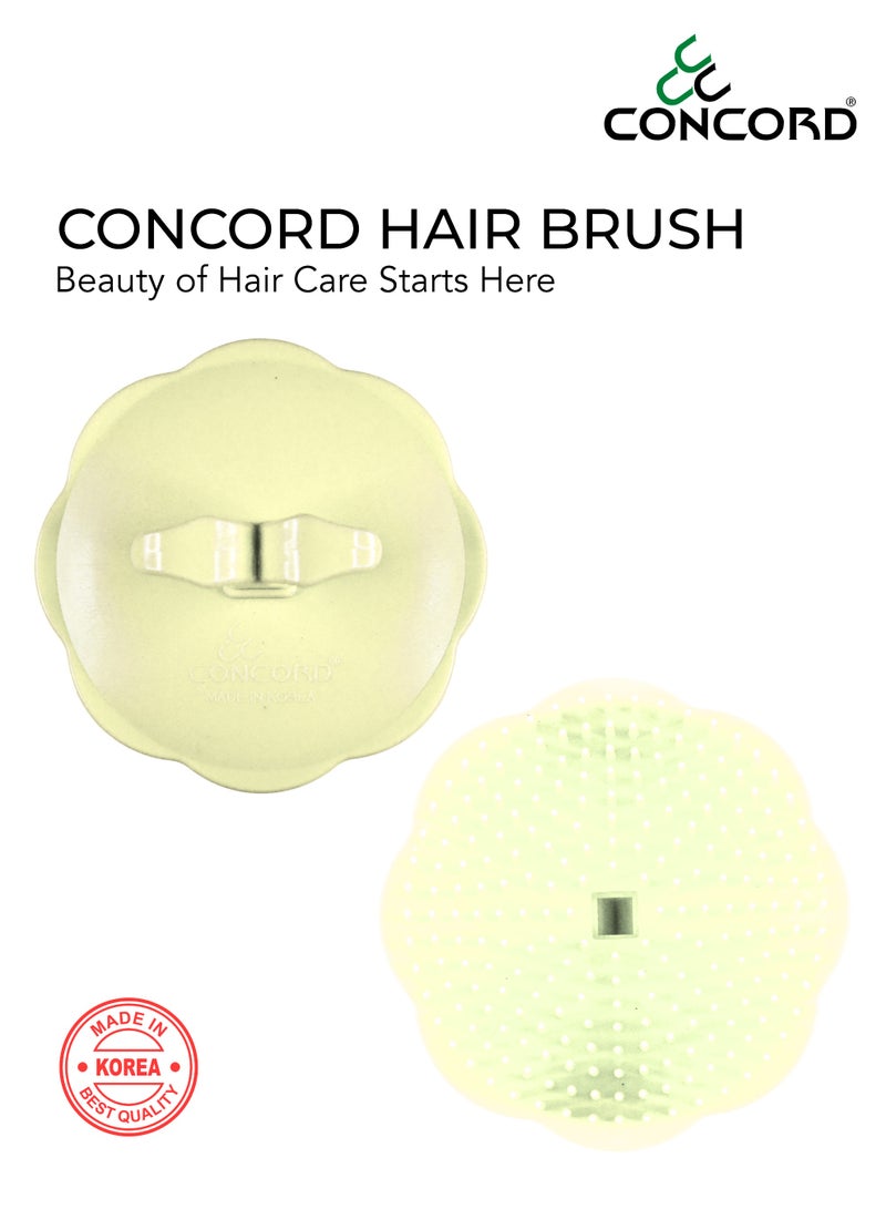 CONCORD - Korea Round Hair Brush, Scalp Massage and Hair Care Brush for Daily Use, Smooth and Flexible, Made in KOREA, Pack of 2 (1 color as shown + 1 with Random color) - Image 2