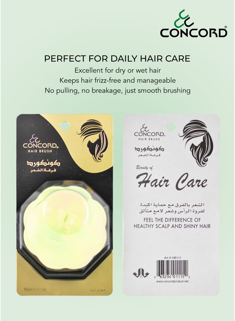 CONCORD - Korea Round Hair Brush, Scalp Massage and Hair Care Brush for Daily Use, Smooth and Flexible, Made in KOREA, Pack of 2 (1 color as shown + 1 with Random color) - Image 5