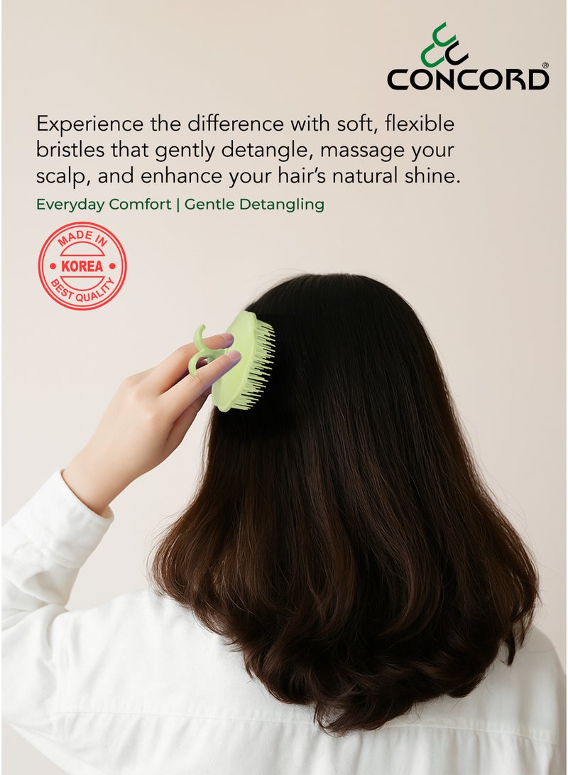 CONCORD - Korea Round Hair Brush, Scalp Massage and Hair Care Brush for Daily Use, Smooth and Flexible, Made in KOREA, Pack of 2 (1 color as shown + 1 with Random color) - Image 3