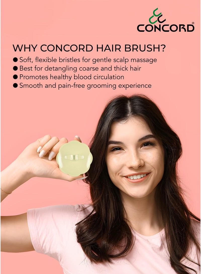 CONCORD - Korea Round Hair Brush, Scalp Massage and Hair Care Brush for Daily Use, Smooth and Flexible, Made in KOREA, Pack of 2 (1 color as shown + 1 with Random color) - Image 4