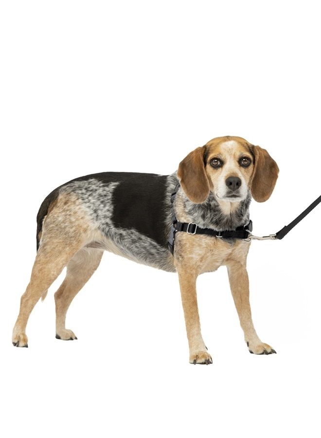 PetSafe Easy Walk No-Pull Dog Harness - The Ultimate Harness to Help Stop Pulling - Take Control & Teach Better Leash Manners - Helps Prevent Pets Pulling on Walks - Small/Medium, Charcoal/Black - Image 1