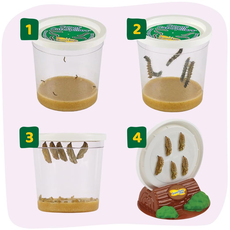 Insect Lore Butterfly Garden with 10 Live Baby Caterpillars - Habitat, Feeder, Chrys-A-Lid Holders, STEM Activity Journal - Raise and Release Painted Lady Butterflies - Image 3