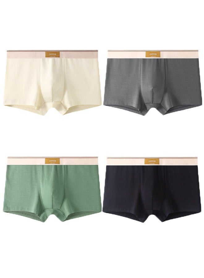 JOLLY Boxer Breathable Men's Briefs Shorts Cotton Trunks Briefs Striped Mid-Waist Boxer (4-Pack)XXL  - Image 1