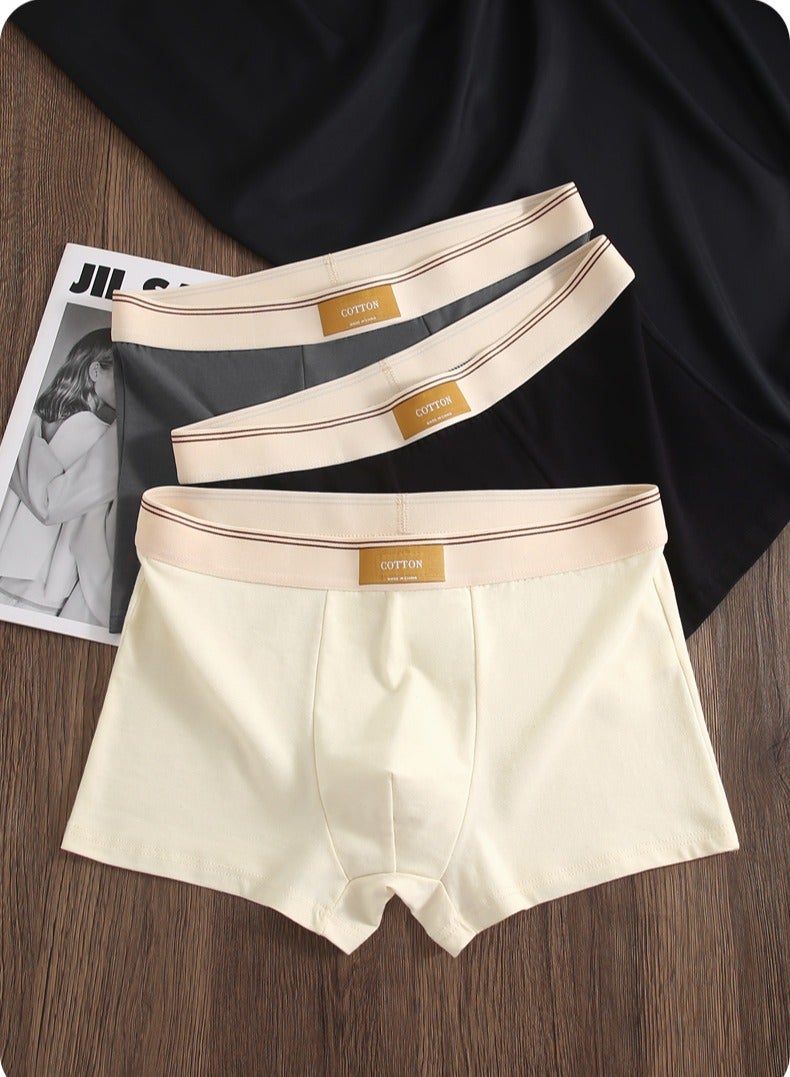 JOLLY Boxer Breathable Men's Briefs Shorts Cotton Trunks Briefs Striped Mid-Waist Boxer (4-Pack)XXL  - Image 2