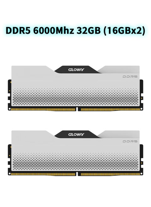 GLOway DDR5 RAM 32GB Kit (2x16GB) 6000MHz CL38-48-48-100 1.35V، الشرائح الشرائح الشرائح الشرائح الشرائح الشرائح الشرائح إنتل XMP 3.0 في أكسبو AMD إكسبو، الشرائح الشرائح الشرائح الشرائح الشرائح على خط DieECC