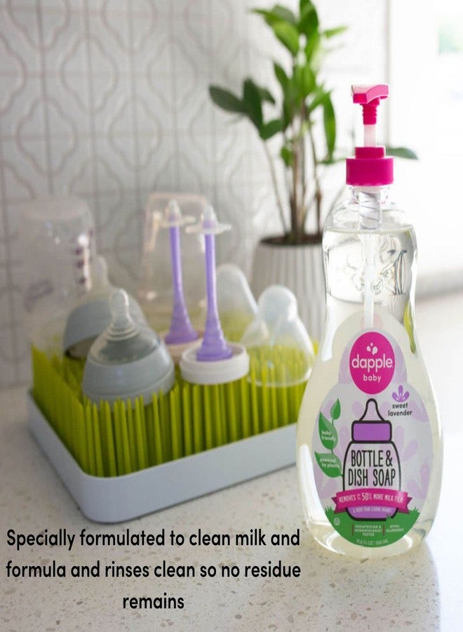 dapple صابون زجاجات الأطفال دابل، صابون أطباق مضاد للحساسية لزجاجات الأطفال، مدعوم بالنباتات، لافندر، 16.9 أونصة سائلة (عبوة من 3) - Image 4
