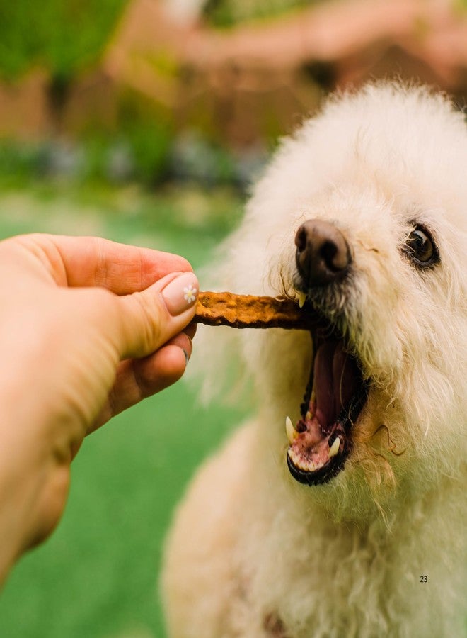 Loving Pets Soft Jerky Dog Treats - Real USA-Sourced Meat Dog Snacks for Training, Puppies & Everyday Reward - Soft, Chewy Dog Treats for Small, Medium & Large Dogs - Wheat & Corn Free - Image 5