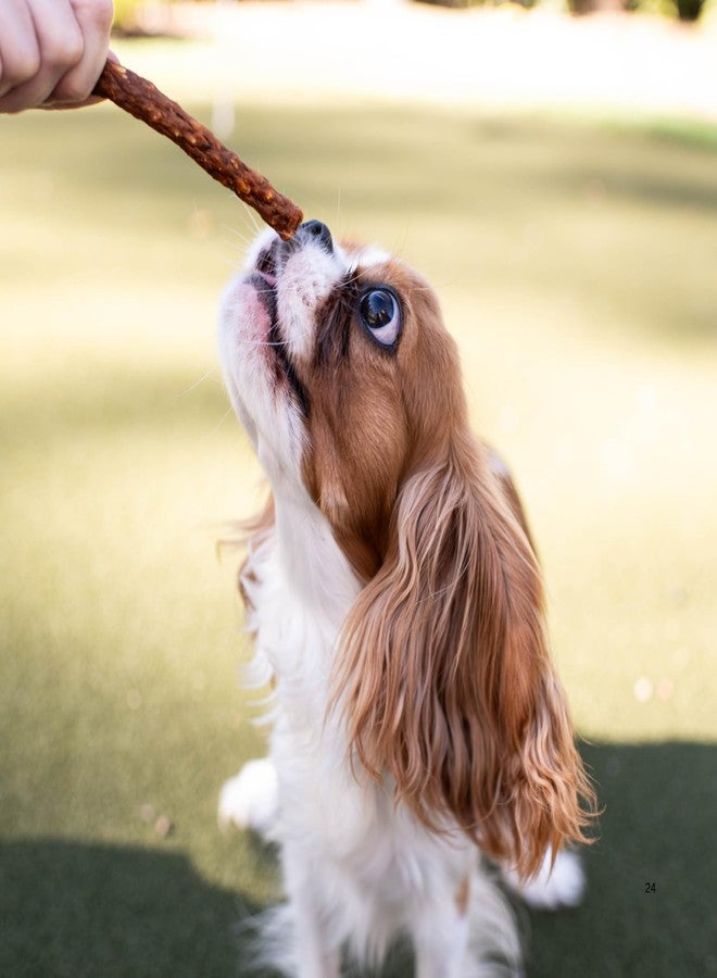 Loving Pets Soft Jerky Dog Treats - Real USA-Sourced Meat Dog Snacks for Training, Puppies & Everyday Reward - Soft, Chewy Dog Treats for Small, Medium & Large Dogs - Wheat & Corn Free - Image 4
